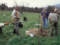 2000 Erste Pflanz-Aktion im November