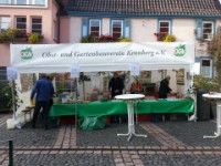 2012 Apfelmarkt