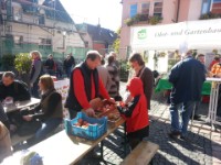 2012-10-07 11.47 Apfelmarkt 123-2  Äpfel spielend erkennen und einen gesunden Apfel als Gewinn mitnehmen!