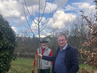 2020 Ein Baum für Helmut Rapp