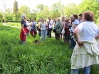 20120504 Kräuterwanderung 113