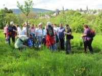 20120504 Kräuterwanderung 117