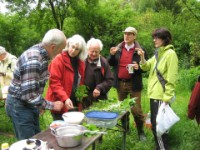 20120506 Kräuterwanderung 049