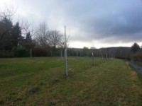 2014-02-09 16.23.42  JOW