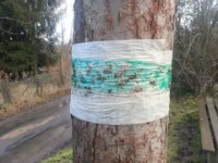 2014-02-09 16.24.20  JOW