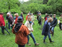 20120506 Kräuterwanderung 126